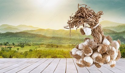 perakende-sarimsak-satis